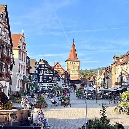 Apartmán Coucou - Nest Im Schwarzwald Gengenbach Exteriér fotografie